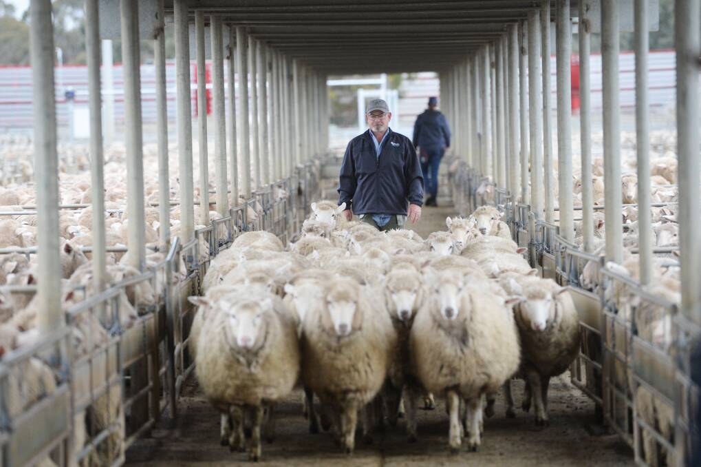 The Bendigo Livestock Eschange on Monday. Picture: DARREN HOWE