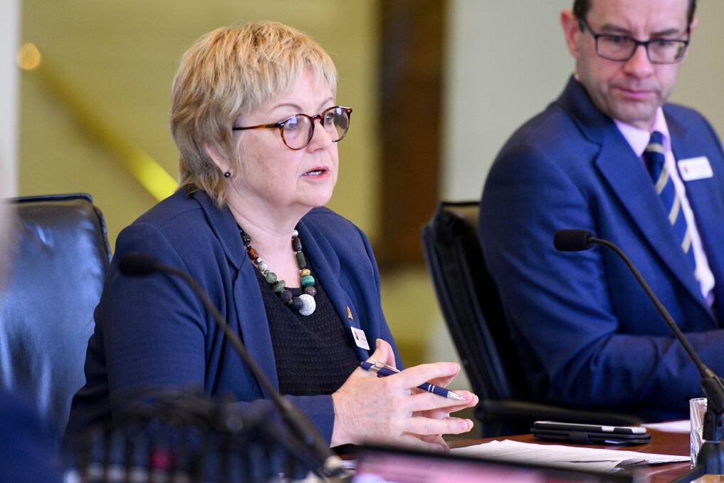 Mayor-elect Jennifer Alden speaks at a state parliament climate change inquiry last year. Picture: NONI HYETT