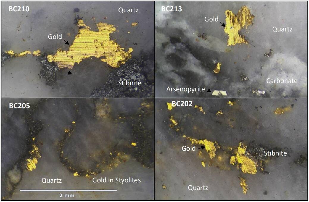 Some gold found in quartz brought to the surface in rock samples by exploration drills by Mandalay Resources in recent months. Picture: SUPPLIED