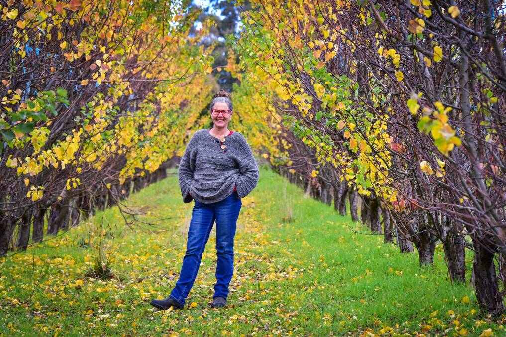FIELD OF DREAMS: Imagine if everyone used their backyards to protect the future of heritage fruit varieties currently at risk, Katie Finlay asks. Picture: BRENDAN McCARTHY