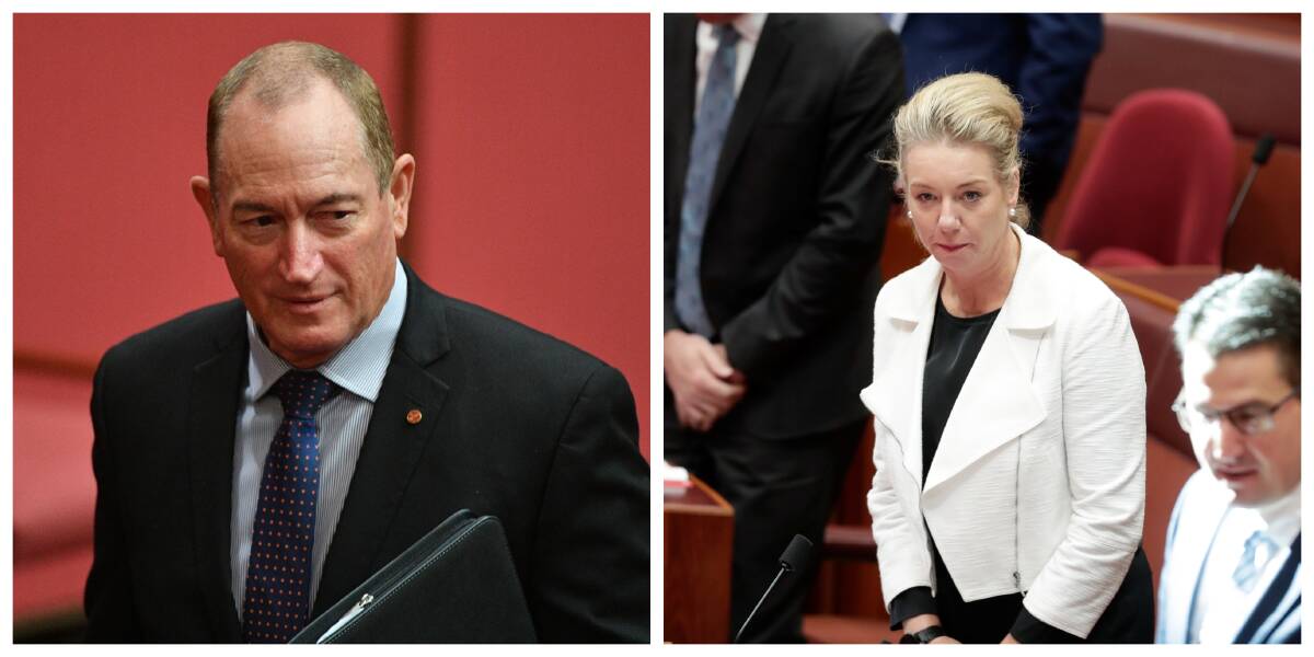 Senators Fraser Anning and Bridget McKenzie. Pictures: AAP Image/Mick Tsikas and Alex Ellinghausen