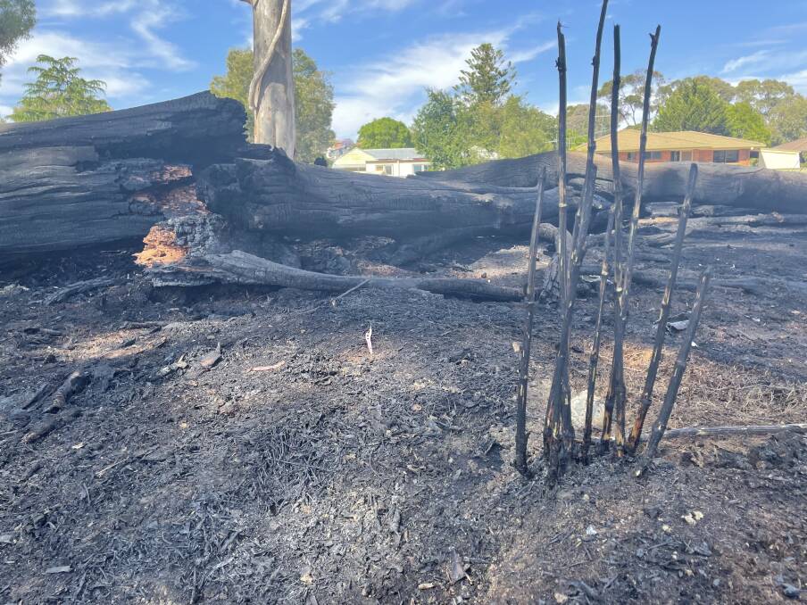 NEW YEAR'S FIRE: Police suspect this fire in a reserve behind Ophir Street was sparked by fireworks and are urging anyone with information to come forward. Picture: TOM O'CALLAGHAN