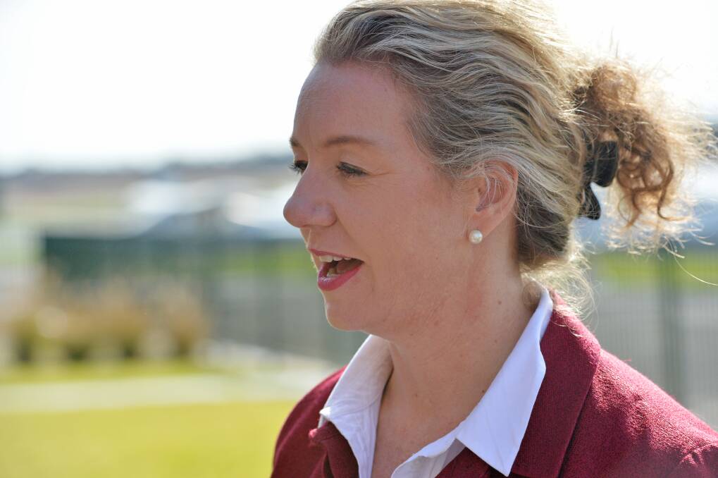 
Bridget McKenzie and her government have backed a headspace mental health program. Picture: DARREN HOWE