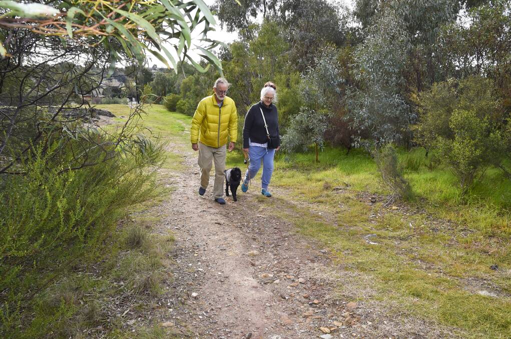 CALL FOR IMPROVEMENTS: Aldo Penbrook and Lorraine Neades walk their dog along a Hustlers Reef Reserve track. Mr Penbrook is concerned about the path's safety. Picture: NONI HYETT