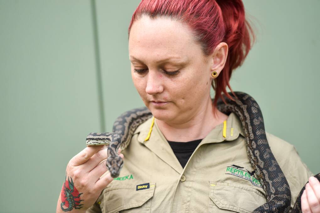 Snakes are beautiful creatures that are often misunderstood, Reptiles Victoria says. Picture: DARREN HOWE