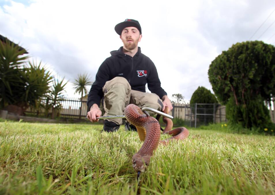 WEATHER WARMING: Chris Page with his pet mulga snake. Pictures: GLENN DANIELS