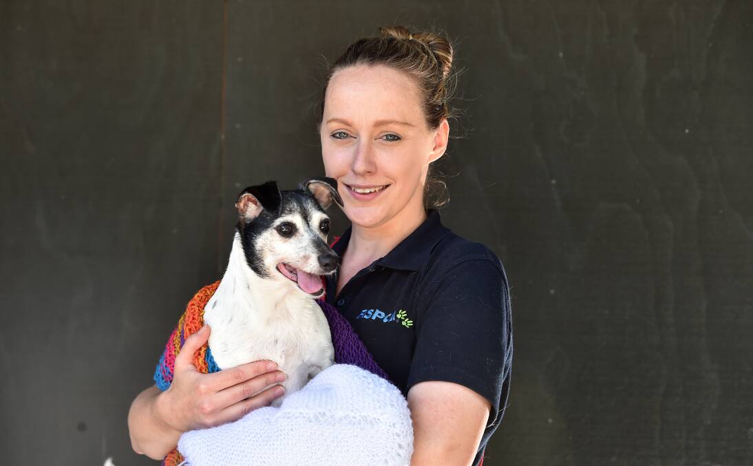 NEW HOME: RSPCA member Laura McClean says Roxy the dog has found a new home. While she was at Bendigo RSPCA's animal care centre she benefited from donated bedding. Picture: NONI HYETT