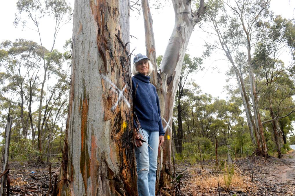Judy Crocker with one of the trees slated for removal. Picture: DARREN HOWE