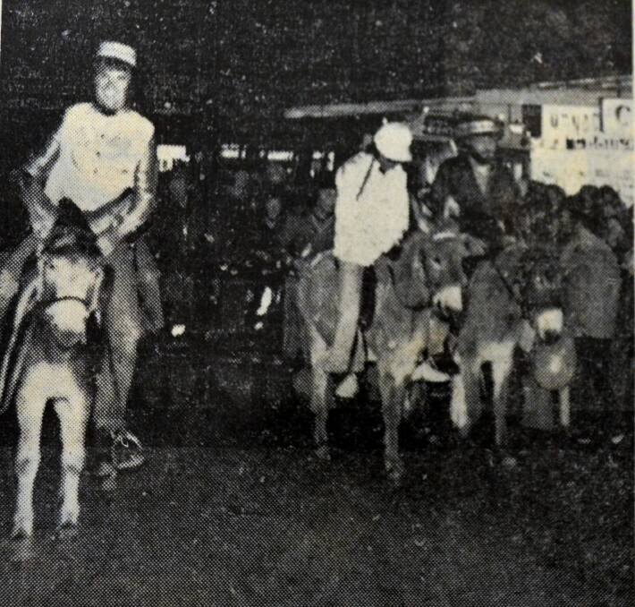 Donkey disc jockeys race through the streets of Bendigo. Image: BENDIGO ADVERTISER/BENDIGO REGIONAL ARCHIVES CENTRE