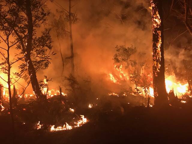 A fire in Cape Conran in Gipplsand. The region has seen several bushfires this winter. Photo: FFMVic