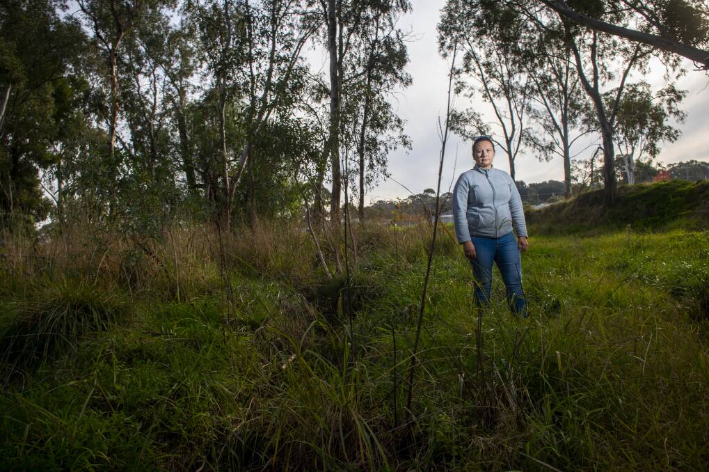 GRAND PLANS: Storm water engineer Maria McCrann says this stretch of Long Gully Creek could be transformed to mimic wetlands. That would help draw in people and animals. Picture: DARREN HOWE