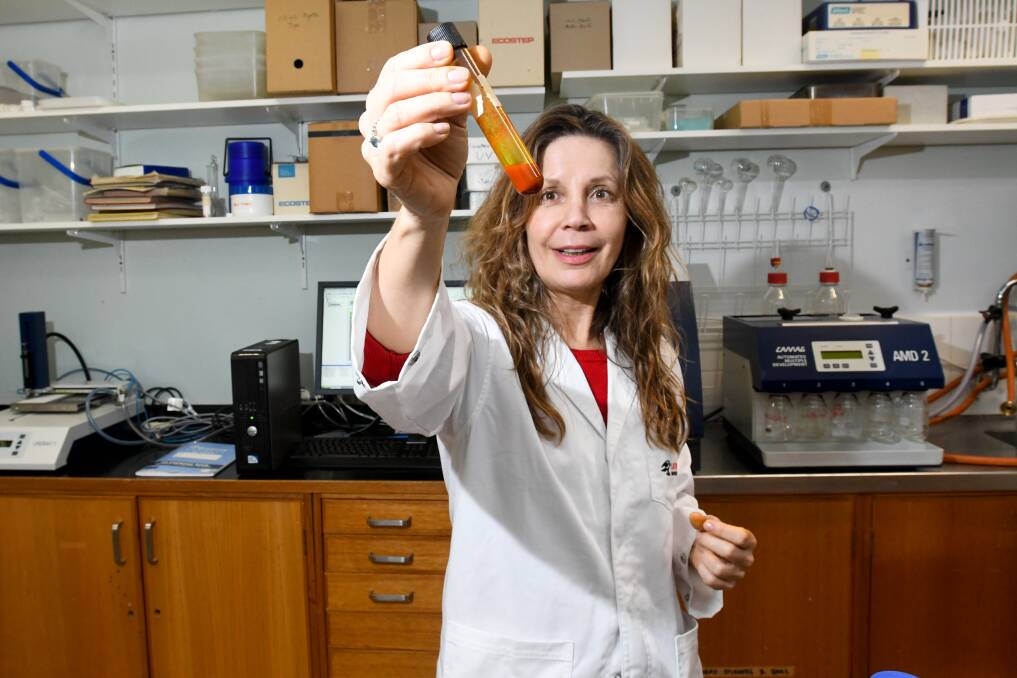 FOOD SEARCH: Snezana Agatonovic-Kustrin is researching native plants and algae to find the secrets of a healthy diet. Scientists store food extracts in test tubes. Picture: NONI HYETT