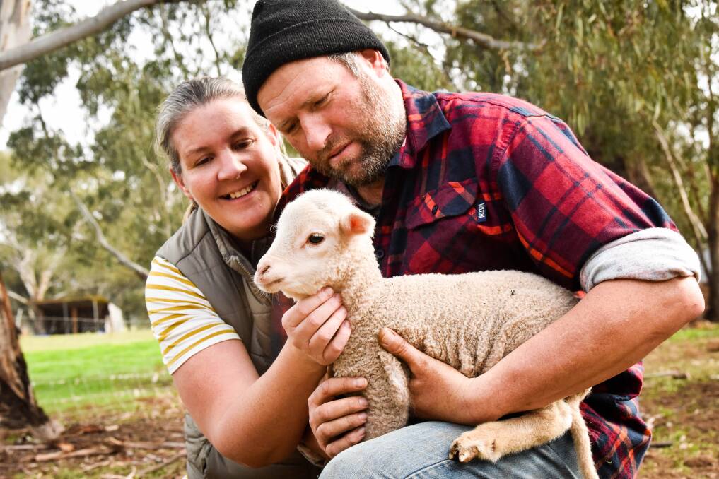 Carly and Darren Noble have grand plans for the yarn their sheep produce. Picture: BRENDAN McCARTHY