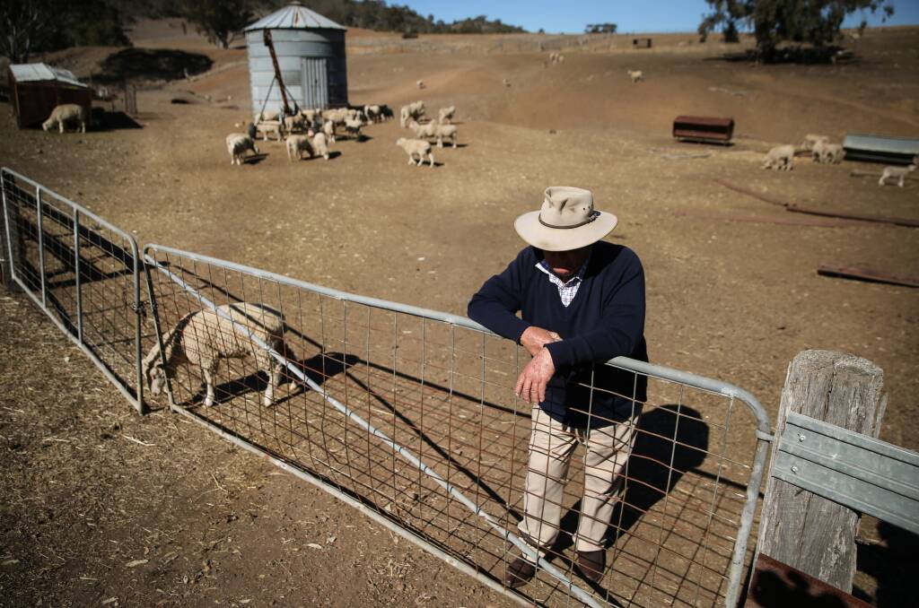 A Murrurundi farmer who was forced to sell stock because of the drought. Picture: MARINA NEIL/NEWCASTLE HERALD