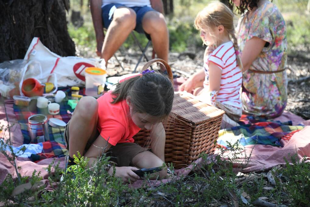 Under the microscope: Chloe Abel plays during a picnic in the Wellsford Forest. Picture: TOM O'CALLAGHAN