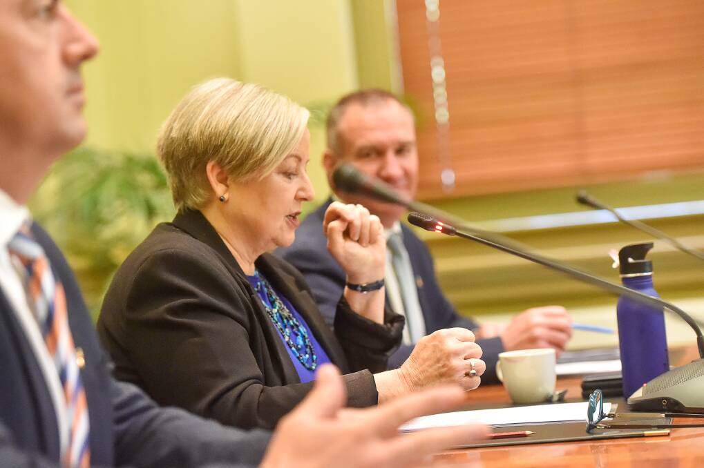 COUNCIL'S PLAN: Mayor Jen Alden presents the 2021/22 draft budget to journalists prior to Monday night's council meeting. Picture: DARREN HOWE