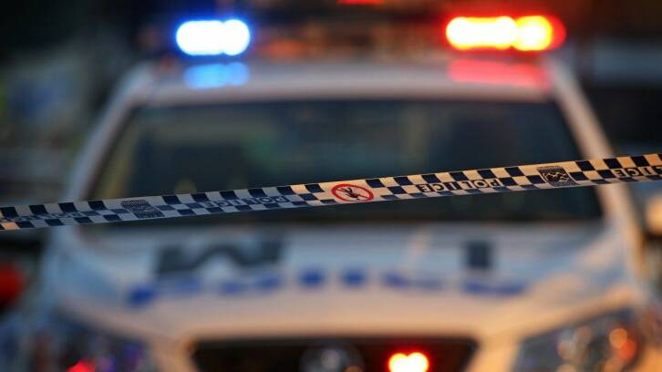 Police investigating truck, car crash - sheep to be euthanised