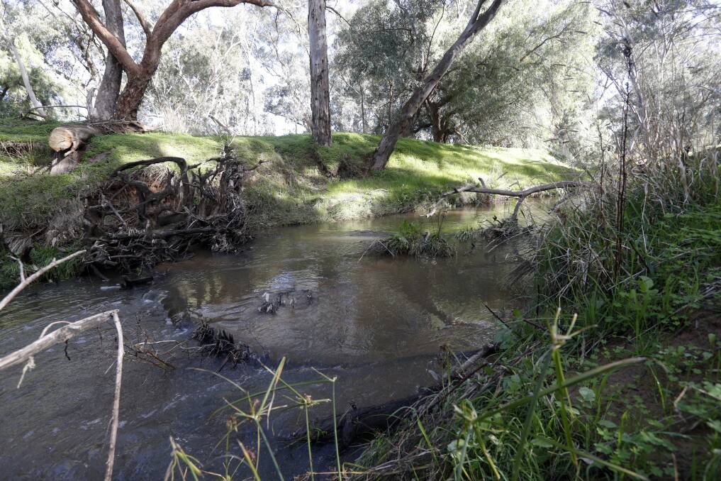 The Bendigo Creek's current course runs through the streamside reserve. Picture: GLENN DANIELS