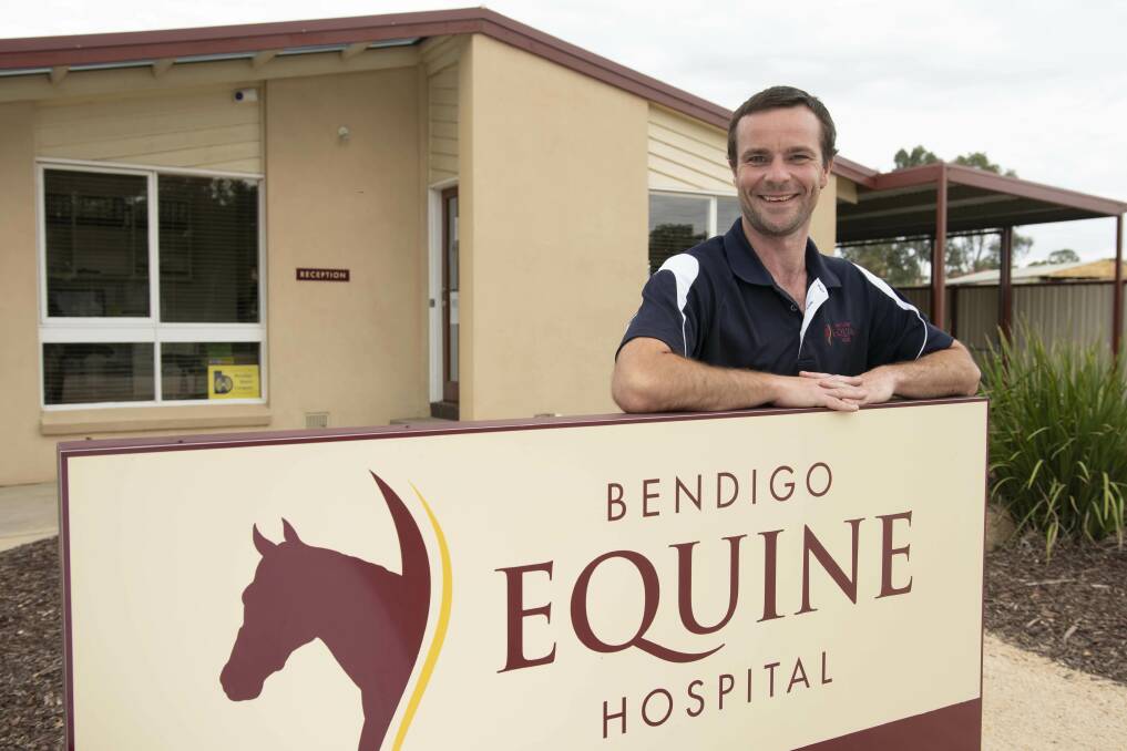 The Victoria Equine Group's Mike Whiteford works at the Bendigo Equine Hospital. Picture: SUPPLIED