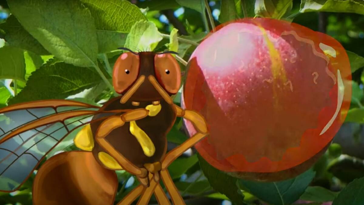 Ernie the fruit fly has appeared in community service videos commissioned by the City of Greater Bendigo and the Mount Alexander Shire.