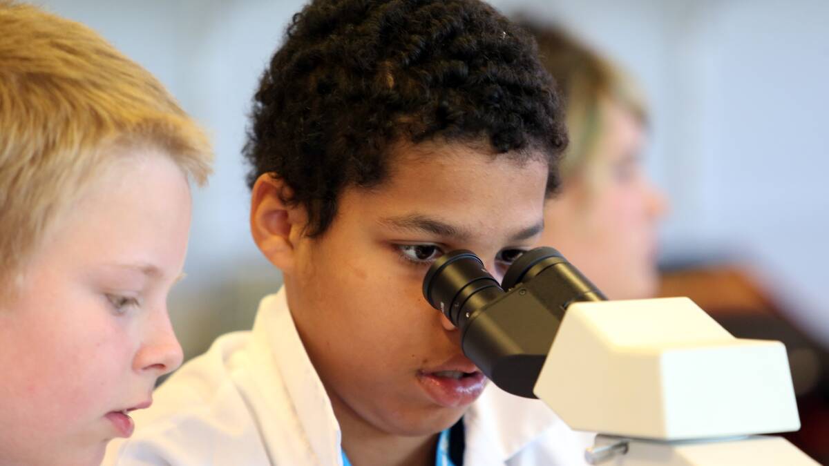 Ezekiel Derosa learns more about forensic science. Picture: GLENN DANIELS