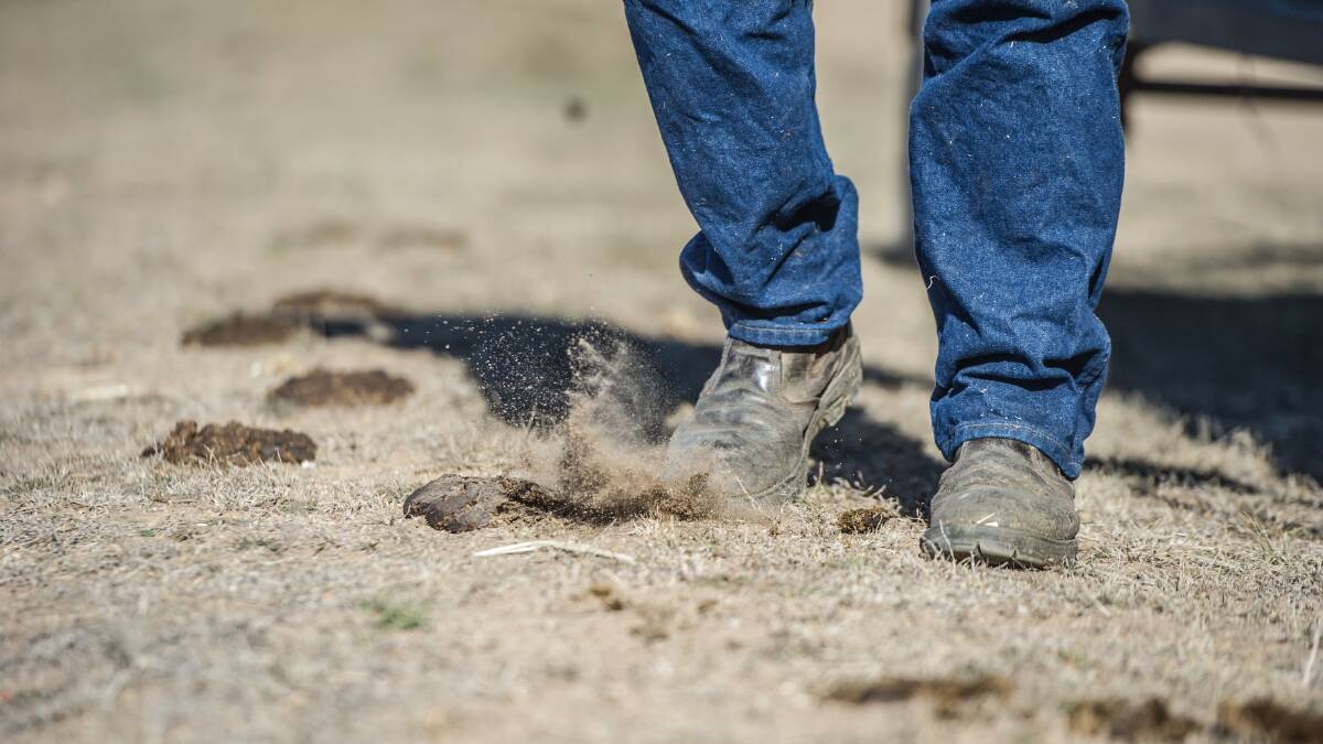 HARD TIMES: A farmer in Braidswood, New South Wales is dealing with bone dry conditions typical of large parts of eastern Australia. Picture: KARLEEN MINNEY
