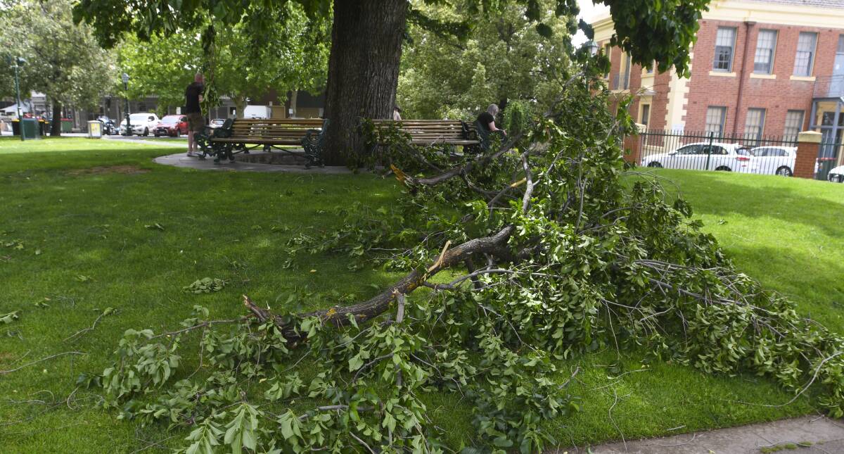 Downed branches in the city centre as winds lash Bendigo. Picture: NONI HYETT