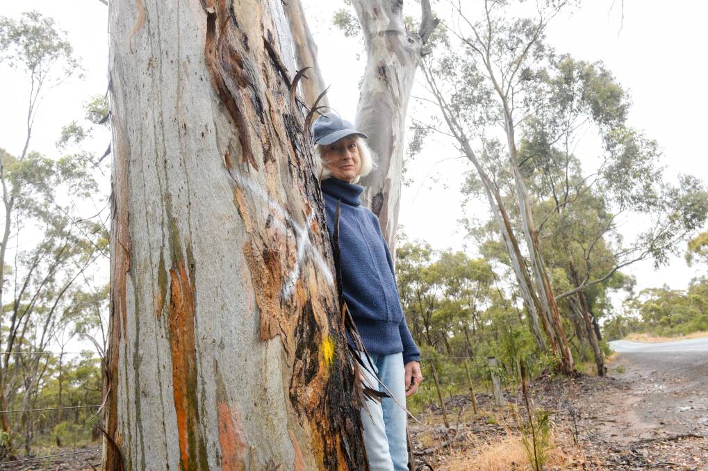 Judy Crocker with one of the trees the council wants to remove. Picture: DARREN HOWE