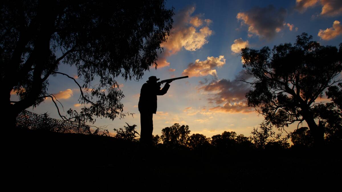 The Loddon Shire Council has backed a pro-duck shooting stance. Picture by Shutterstock