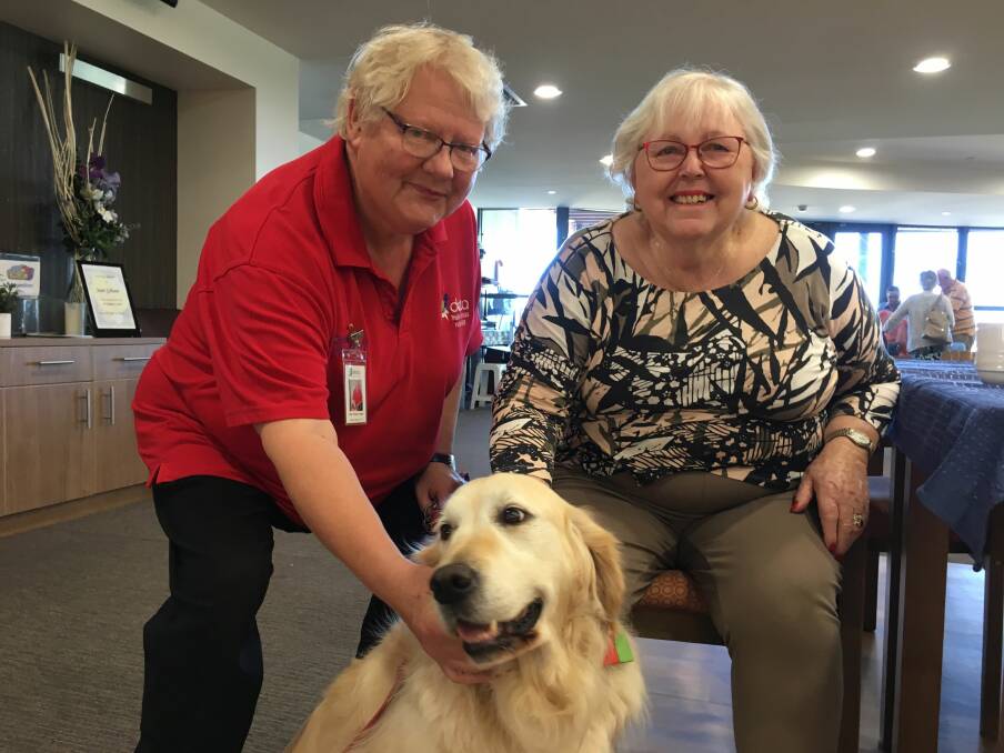 Therapy time: Bethlehem Home for the Aged resident Beverley Cox (right) enjoys a visit from Mary Tuohey and her therapy dog Angel. Picture: SUPPLIED