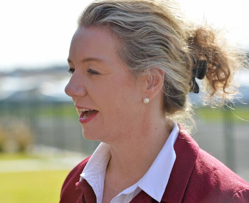 Staying as a senator: Bridgit McKenzie will serve out her term after saying she won't run for the seat of Indi in the next federal election, tipped to be in May.