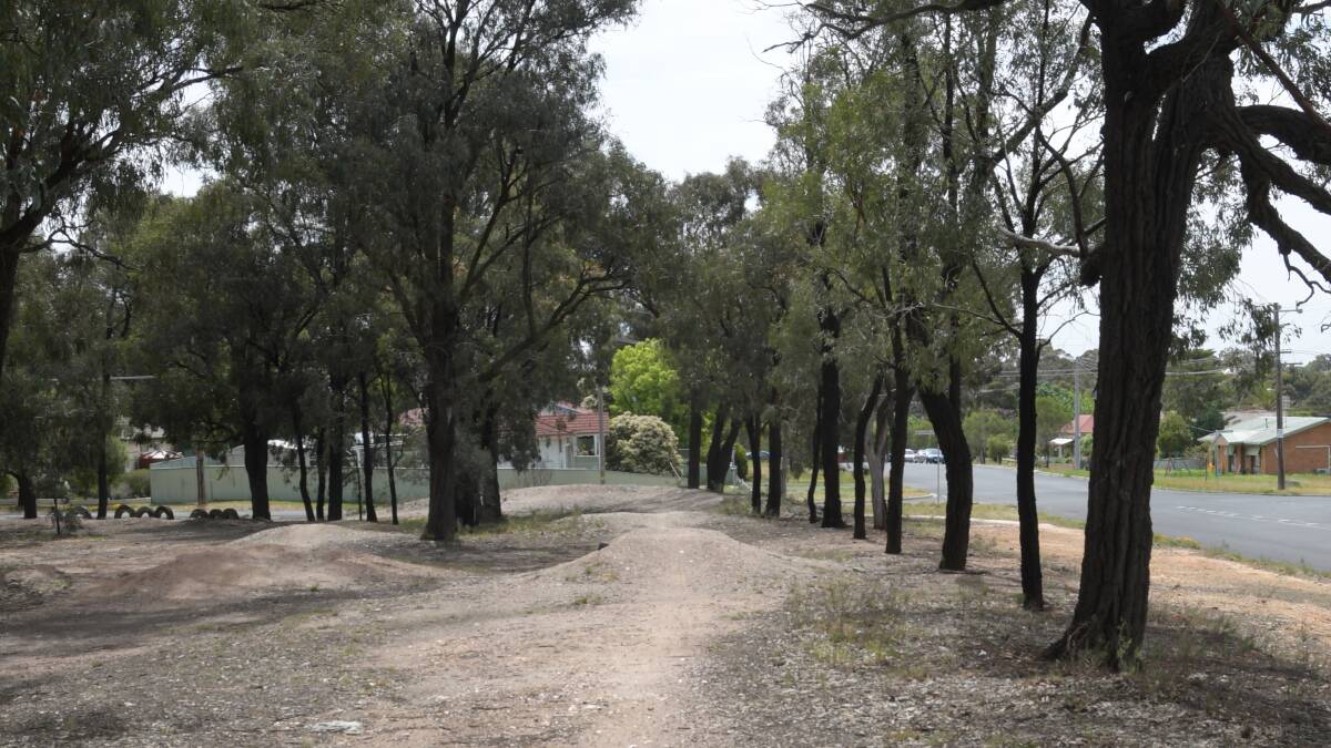 California Gully Oval dead trees a real concern | Your Say