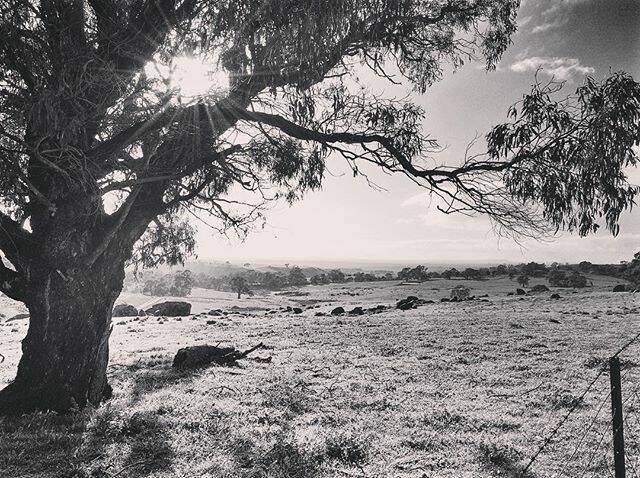 Today's Instagram #picoftheday is by @hummingbyrd - tag your weather pics #bendigoweather and we'll feature the best ones here.