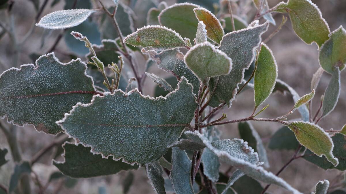 Frost warning for parts of central Victoria
