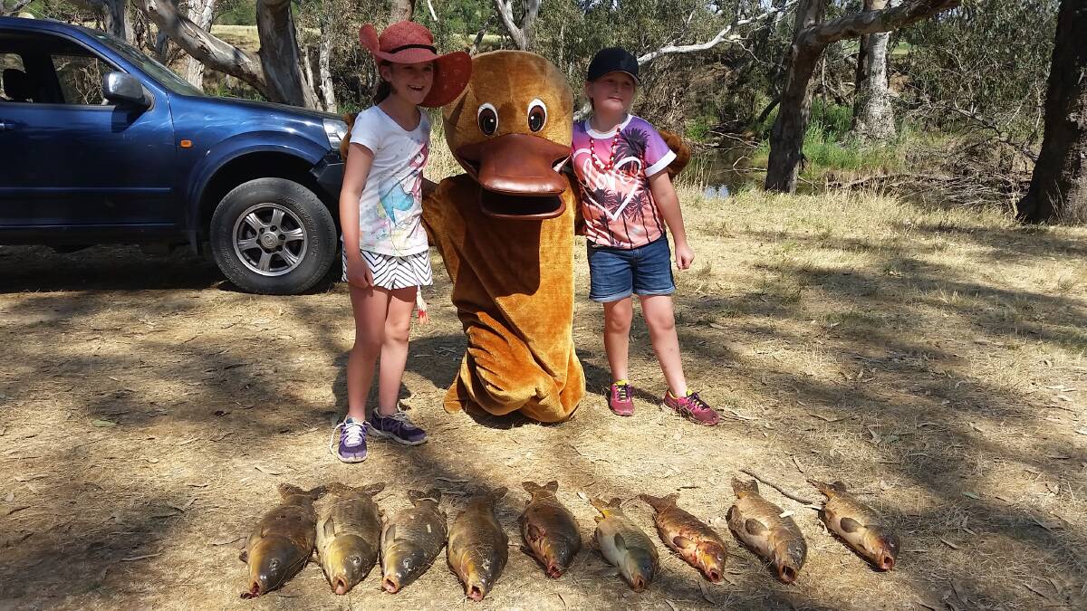 CATCH: Among the events on Sunday is the Campaspe Carp Catch organised by the North Central Catchment Management Authority. Picture: SUPPLIED