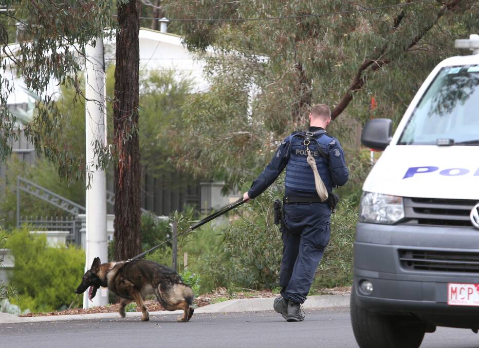 The dog squad was called in to help in the search for Ashley Backer on Thursday. Picture: GLENN DANIELS