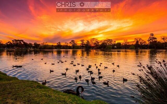 Today's Instagram #picoftheday is by @chris_rowlands_photography - tag your weather pics #bendigoweather and we'll feature the best ones here.