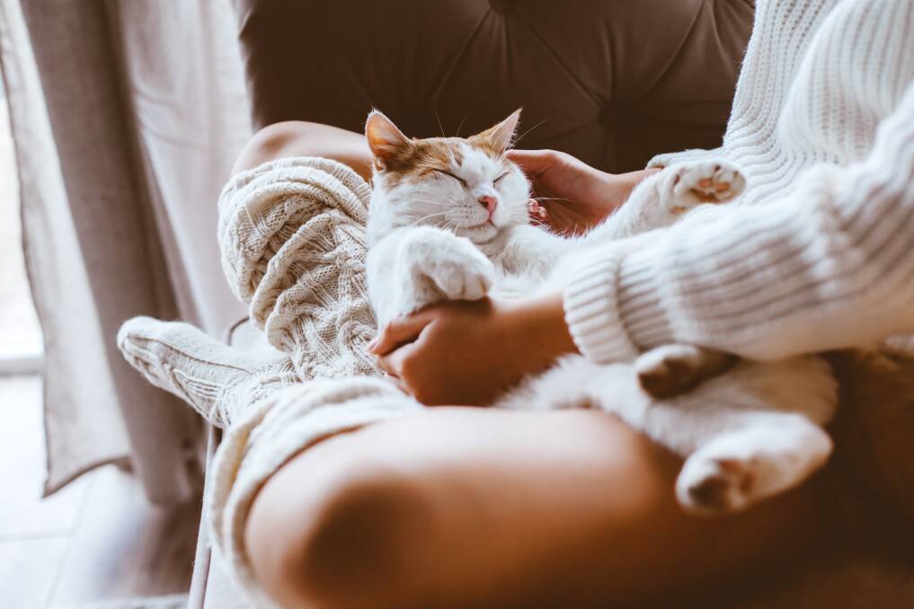SNUGGLE SEASON: Surround yourself with things that make you feel toasty and warm. Photo: Shutterstock