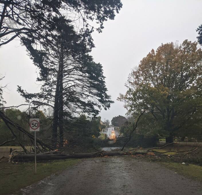 Cut off: High Street in Trentham was blocked by several trees as the storm ripped through. Picture: Tarnay Sass