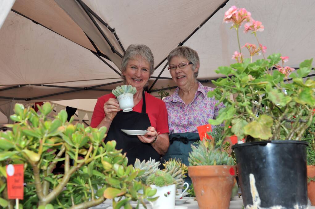 PREPARATIONS: Kathy Rice and Celia Weston from and the red geranium at the Peppergreen Farm Community festival in 2012. Picture: JIM ALDERSEY.