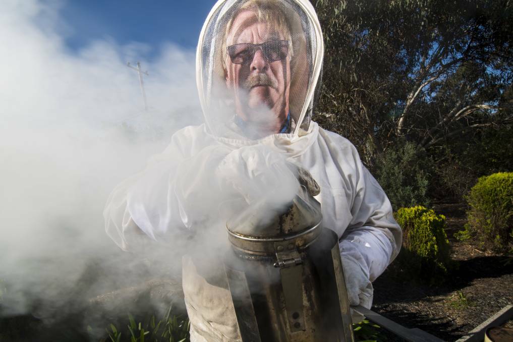 Beekeeper Tom Cherry. Picture: DARREN HOWE.