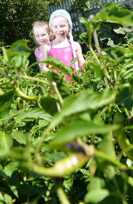GREEN: Ava Devers and Isla Devers at PepperGreen Farm. Picture: DARREN HOWE 2016