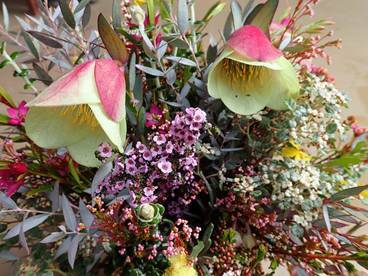  COLOURFUL: An arrangement of flowers. Photo: SUPPLIED / Marilyn Sprague.