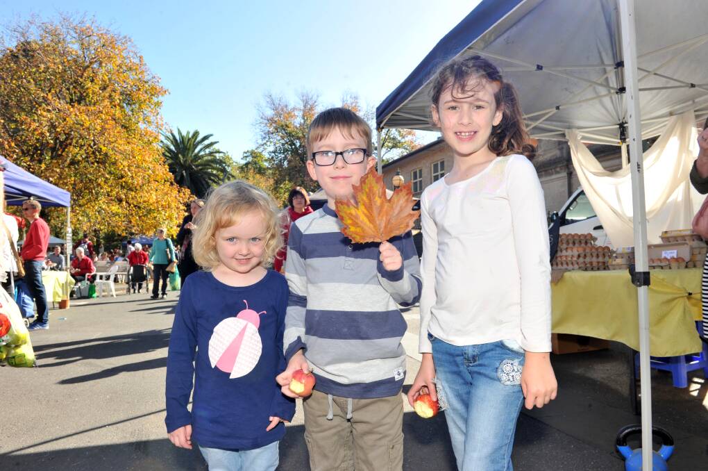 FARMING FUN: Siblings Clementine, Spencer and Sadie Field attend market. Picture: NONI HYETT