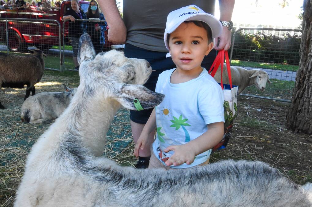 Children visited animals in the children's farm at the 2022 Easter Fair Bendigo. Picture by Darren Howe