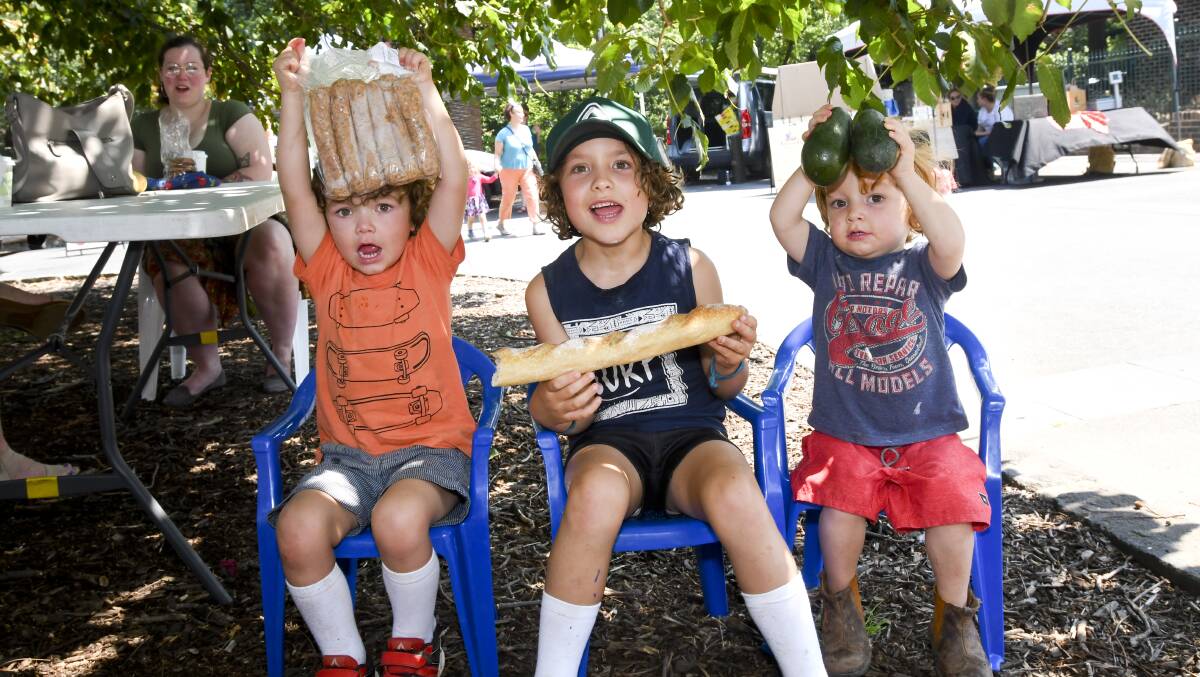 MARKET FUN: Brothers Quentin, Reuben and Augustus Carrick. Picture: NONI HYETT
