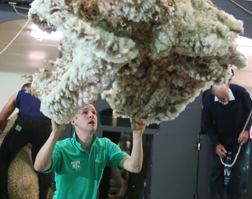 Wool classer, Zac Currie at the Bendigo Sheep and Wool Show 2019. Picture: GLENN DANIELS