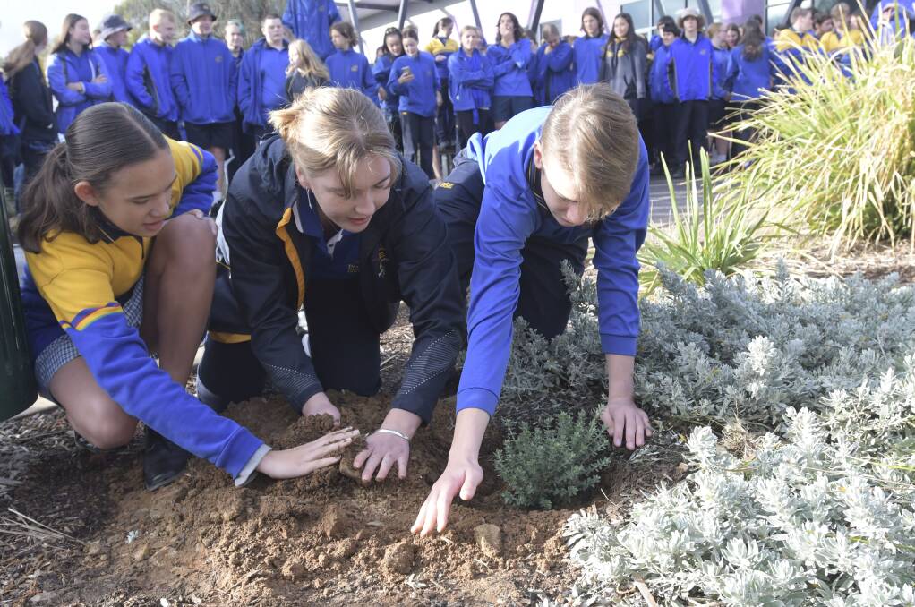 COMMEMORATION: Bendigo South East College help celebrate Reconciliation Week in 2019 with a tree plating ceremony. Indigenous Leader Loretta Varker and school captains Laura Hipwell and Darcy Gray have the honour of planting the native tree. Picture: NONI HYETT