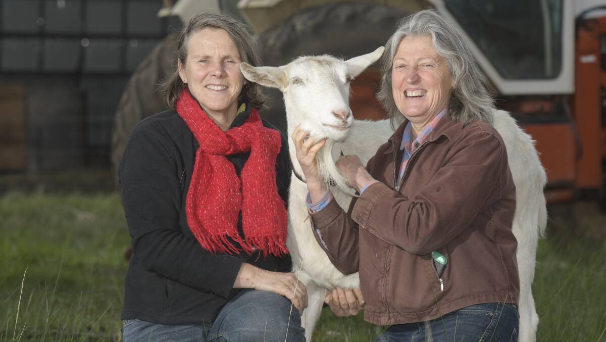 HOLY GOAT: Partners Ann-Marie and Carla share a passion for making cheese on their central Victorian farm. Picture: NONI HYETT