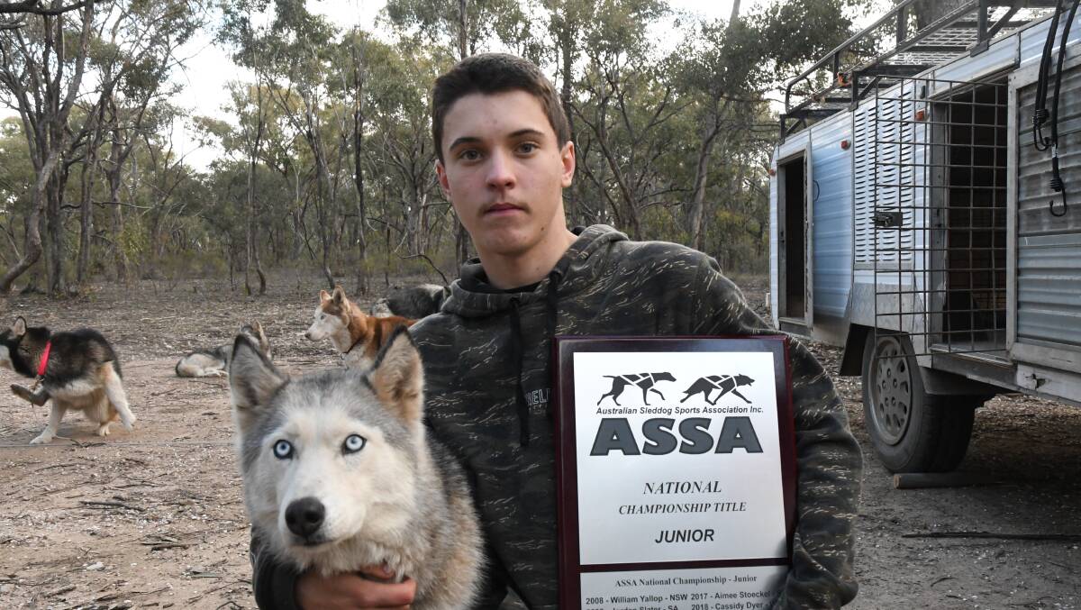 CHAMPION: Alan Bowles recently won the Australian Sled Dog Sports Association's Junior Championship. Picture: ANTHONY PINDA